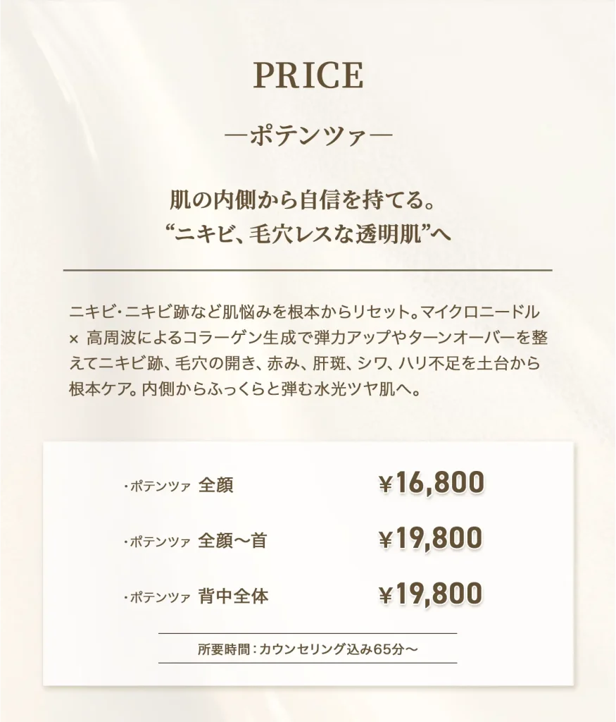 ポテンツァメニュー_毛穴レス_ニキビケア